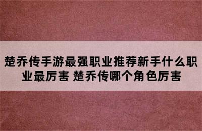 楚乔传手游最强职业推荐新手什么职业最厉害 楚乔传哪个角色厉害